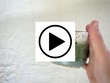 Forest Series Mug Video