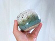 Forest Sphere Cup 3