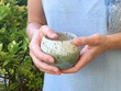 Forest Sphere Cup 7