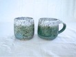 Forest Series Tumbler 5